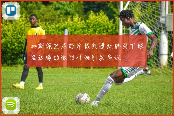 加斯佩里尼怒斥裁判遭红牌罚下球场边缘的激烈对抗引发争议