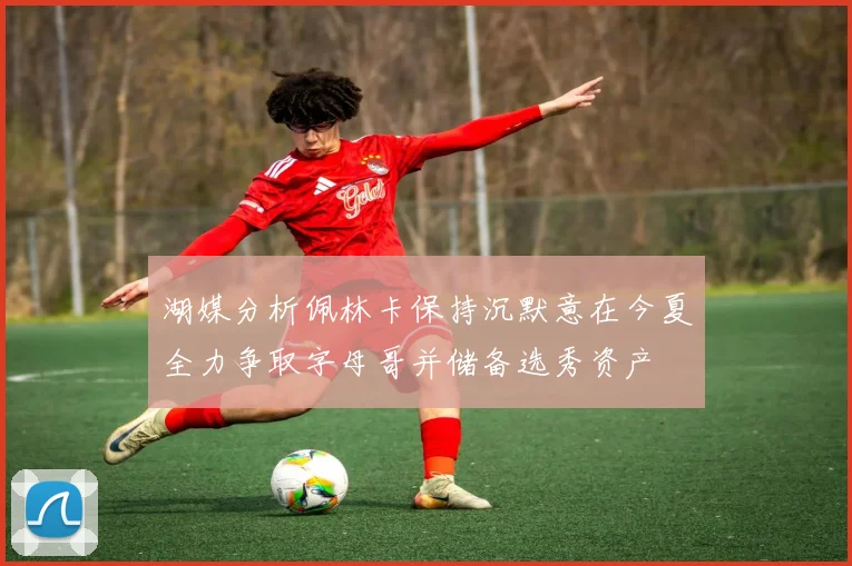 湖媒分析佩林卡保持沉默意在今夏全力争取字母哥并储备选秀资产